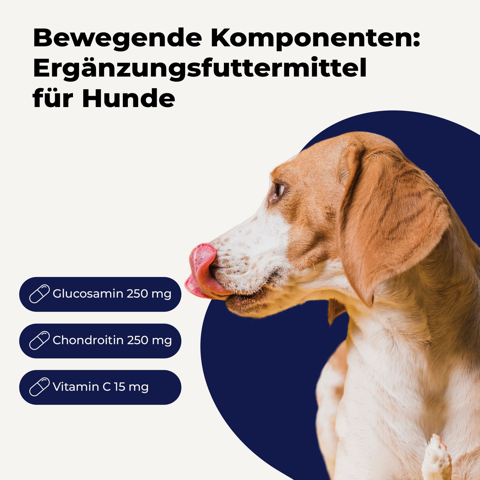 avitale-vetline-f-r-hunde-futtererg-nzung-glucosamin-kapseln image 2