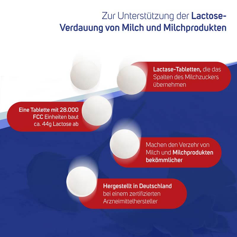 avitale-lactase-28000-fcc-tabletten-bei-laktose image 2